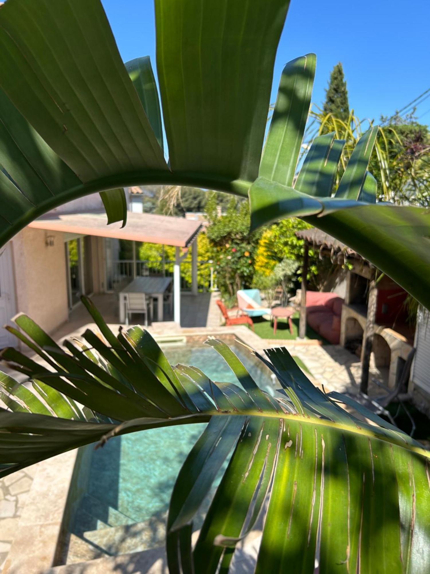 L' Oliviera, Vue Et Plages A Pieds Ferienhaus Sète